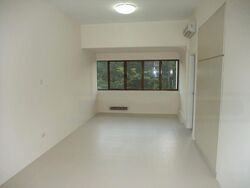 Peach Garden (D15), Apartment #482512551